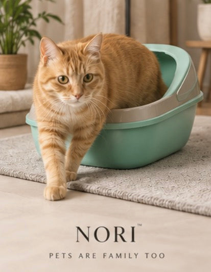 NORI™ CloudNest Pet Bed